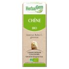 HERBALGEM CHENE BOURGEON MACERAT GLYCERIN BIO 30ML