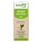 HERBALGEM ROSIER SAUVAGE JP BOUGEON MACER BIO 30ML