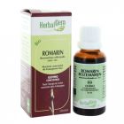 HERBALGEM ROMARIN JP BOUGEON MACERAT GLYC BIO 30ML