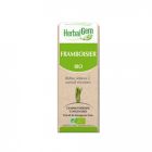 HERBALGEM FRAMBOISIER BOUGEON MACERAT GLY BIO 30ML