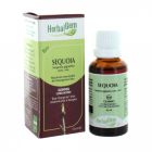 HERBALGEM SEQUOIA JP BOURGEON MACERAT GLY BIO 30ML