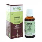 HERBALGEM SORBIER BOURGEON MACERAT GLYCE BIO 30ML