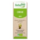 HERBALGEM ORME BOURGEON MACERAT GLYCERINE BIO 30ML