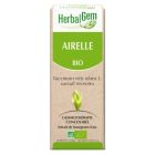 HERBALGEM AIRELLE JP BOURGEON MACERAT GLY BIO 30ML