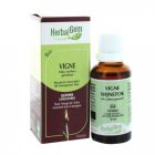 HERBALGEM VIGNE BOURGEON MACERAT GLYCERIN BIO 30ML