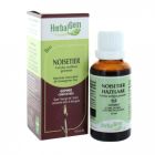 HERBALGEM NOISETIER BOURGEON MACERAT GLYC BIO 30ML