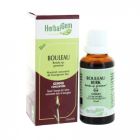 HERBALGEM BOULEAU SIROP BOUGEON MACER GLY BIO 30ML