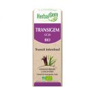 TRANSIGEM COMPLEXE BIO 30ML