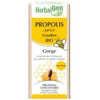 HERBALGEM PROPOLIS JUNIOR BIO GOUTTES 15ML