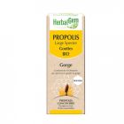 HERBALGEM PROPOLIS LARGE SPECTRE GOUTTES BIO 15ML