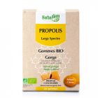 HERBALGEM PROPOLIS LARGE SPECTRE GOMME BIO 24