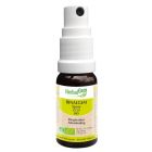 HERBALGEM RINALGEM SPRAY BUCCAL BIO 15ML