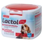 LACTOL LAIT MATERNISE CHIOT 250G