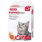 FIPROTEC PIPETTE SOL SPOT ON CHAT +1KG X6